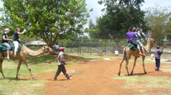 Rossmina Bed and Breakfast