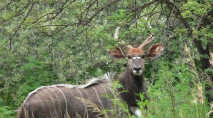 North Hills Country House