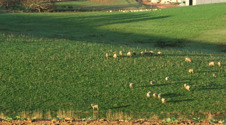 Chavonnes Farm Cottage