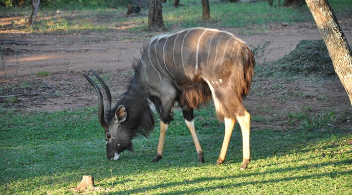 Mount Hope Private Game Reserve