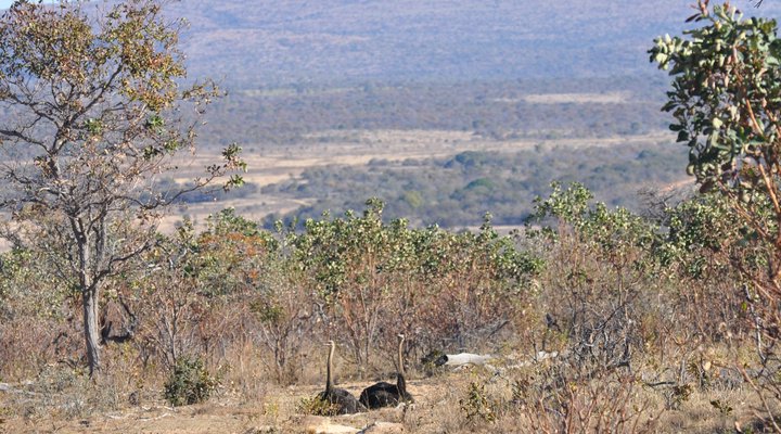 Mount Hope Private Game Reserve