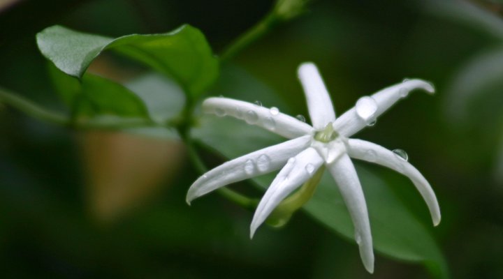 Natural Moments Bush Camp & Diving