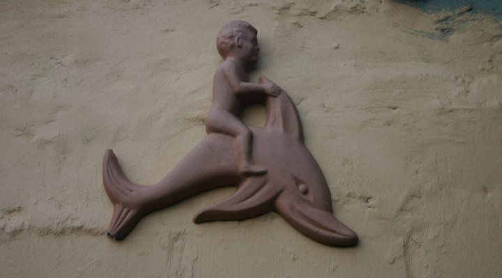 Natural Moments Bush Camp & Diving