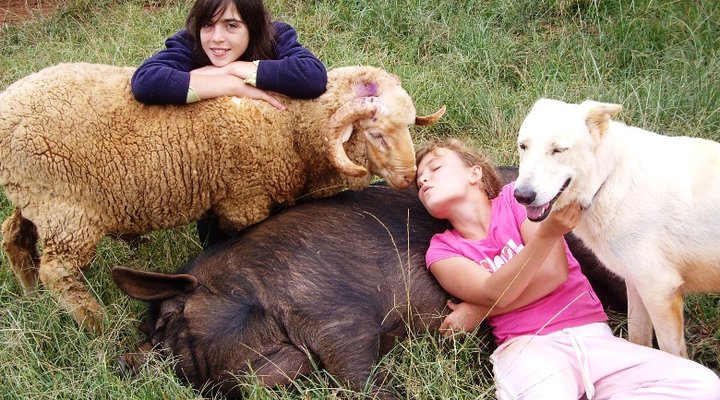 Lydenrust Guest Farm & Horse Trails