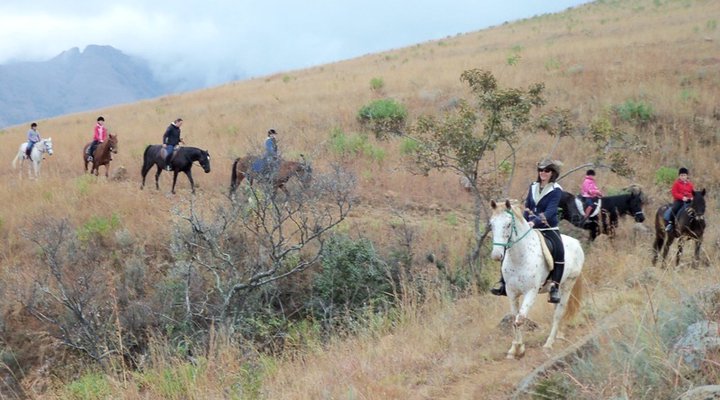 Lydenrust Guest Farm & Horse Trails