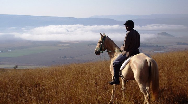 Lydenrust Guest Farm & Horse Trails