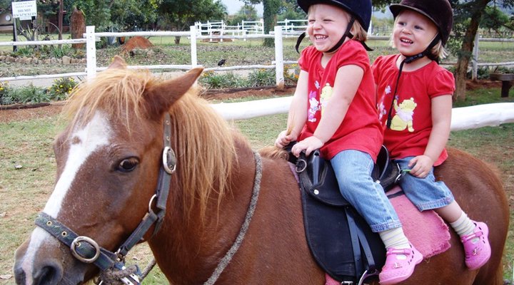 Lydenrust Guest Farm & Horse Trails