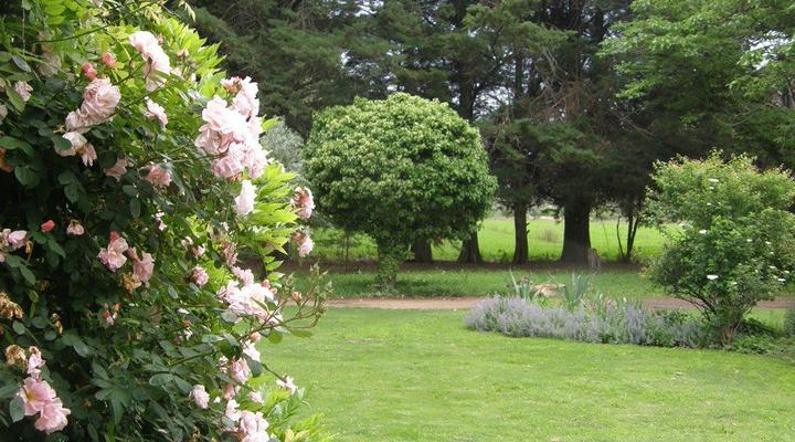 Braeside Country Cottage