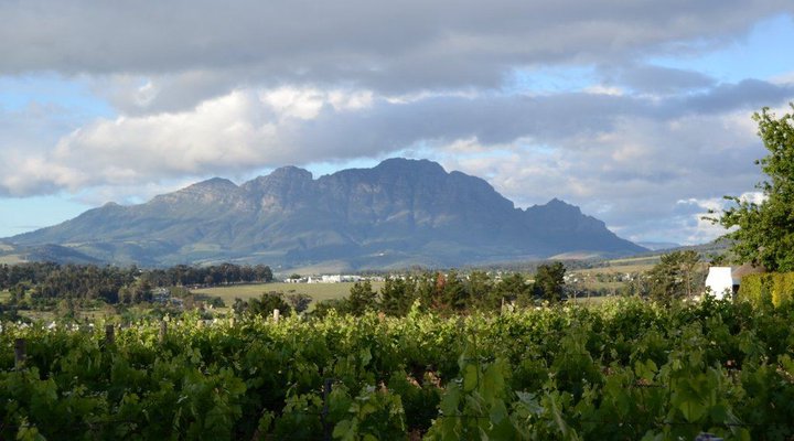 The Bellevue Manor Guesthouse and Wellness Retreat