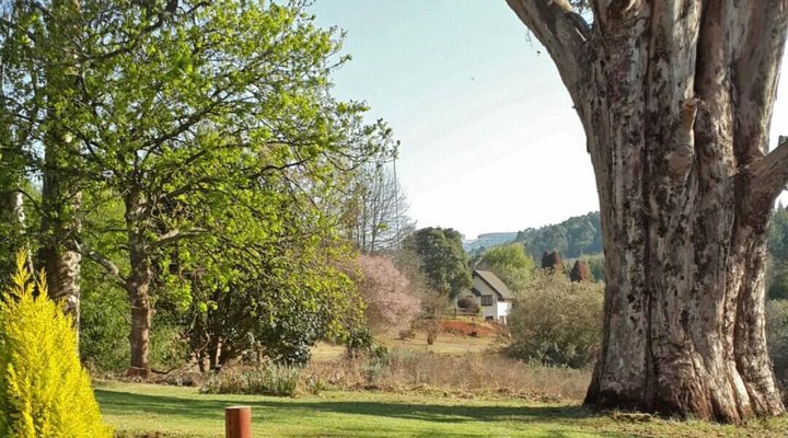 Toi Home In Da Hills