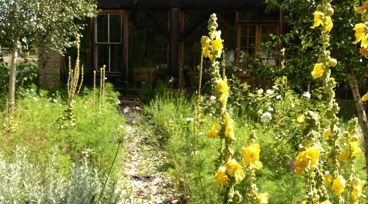 Wol en Velle Guest House