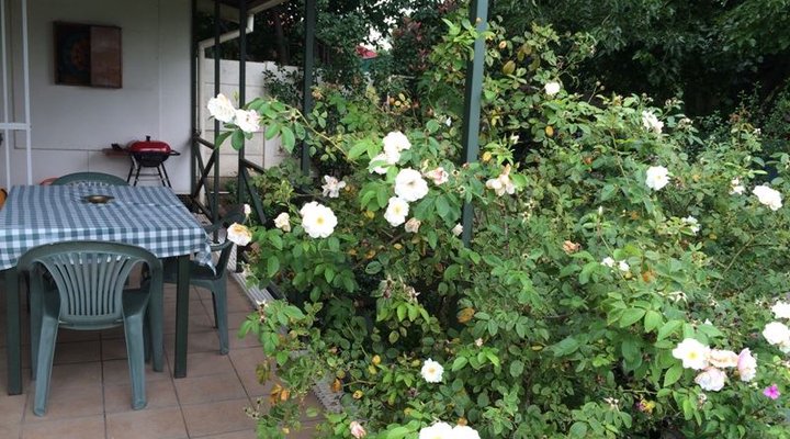 Green Door Guest Cottage - Loop Street