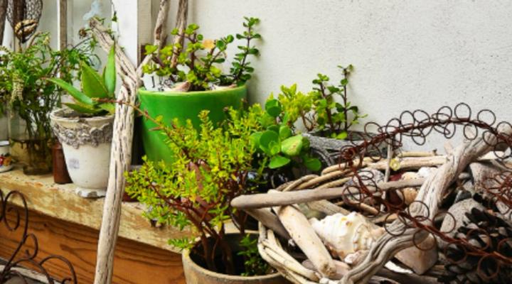 Melkbosstrand Garden Apartments