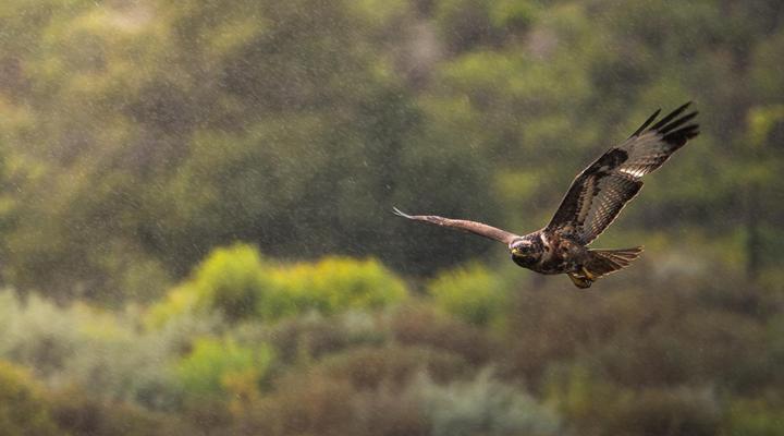 Bloukrans Off-Grid Cabin