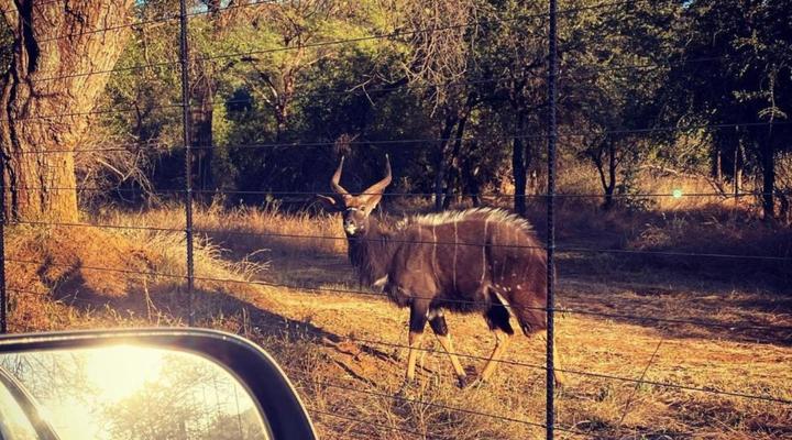 Grootfontein Private Nature Reserve