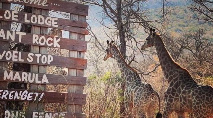 Grootfontein Private Nature Reserve