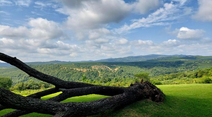 Sabaan Guest Farm & Events Venue