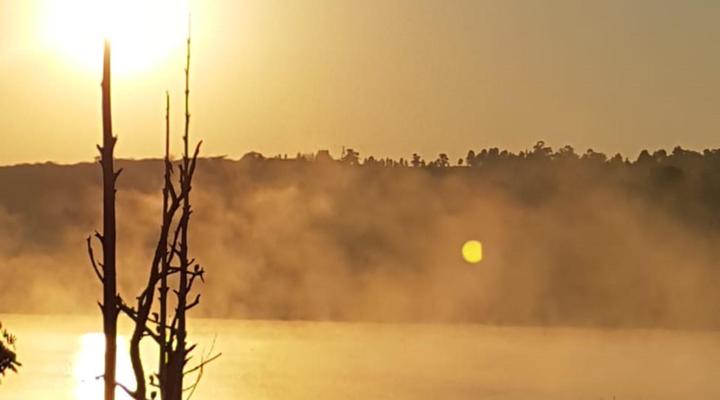 Goggas Nest BnB and Restaurant