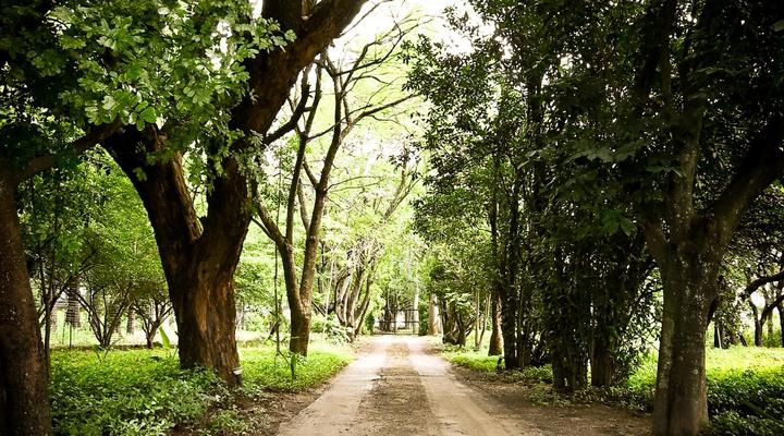 The Roaming Goat Guesthouse