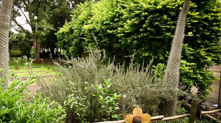 The Roaming Goat Guesthouse