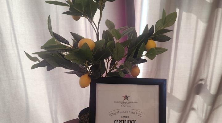 Hillton Manor Guest House