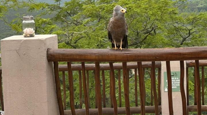 Chestnut Country Lodge