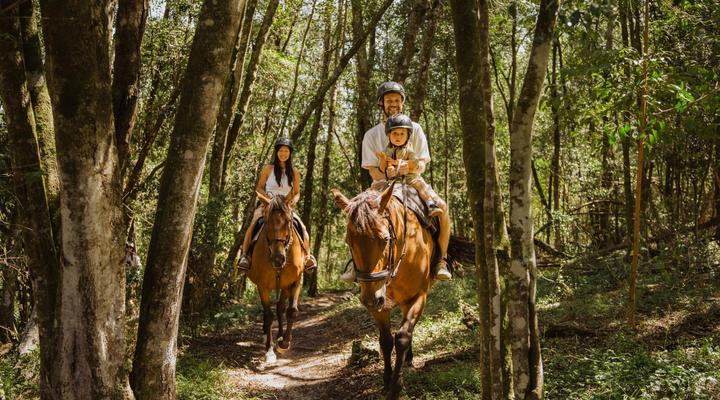 AfriCamps at Oakhurst