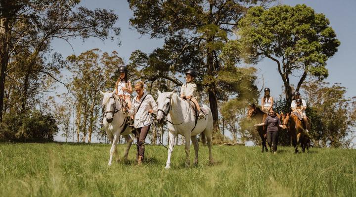 AfriCamps at Oakhurst