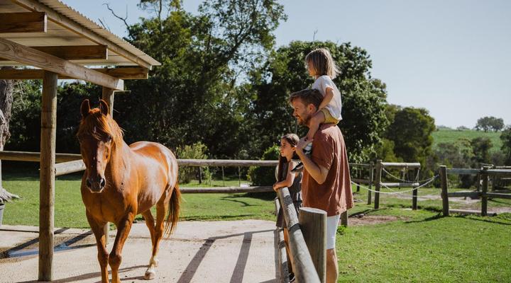 AfriCamps at Oakhurst