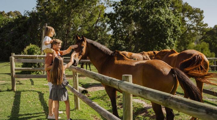 AfriCamps at Oakhurst