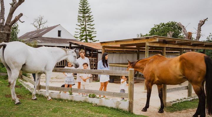 AfriCamps at Oakhurst