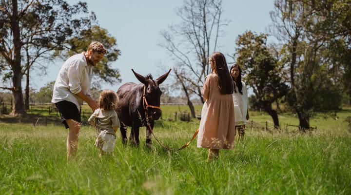 AfriCamps at Oakhurst