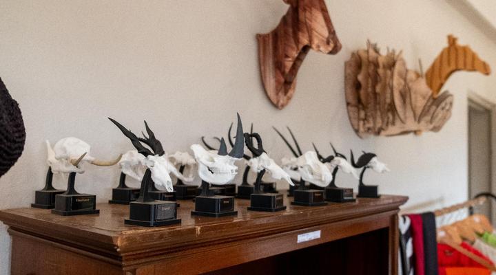 Zebra Nature Reserve