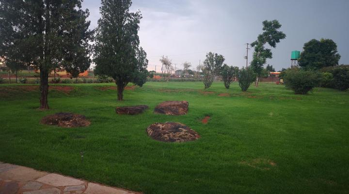 Aloe Tree Guest House