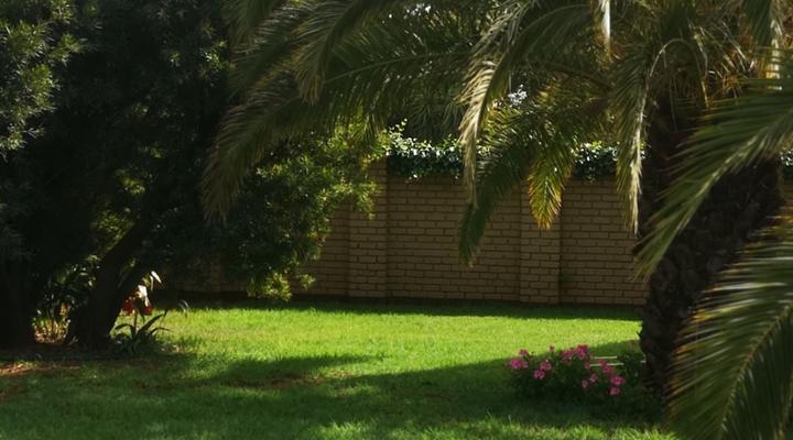 Aloe Tree Guest House