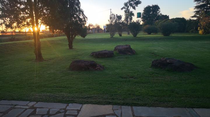 Aloe Tree Guest House