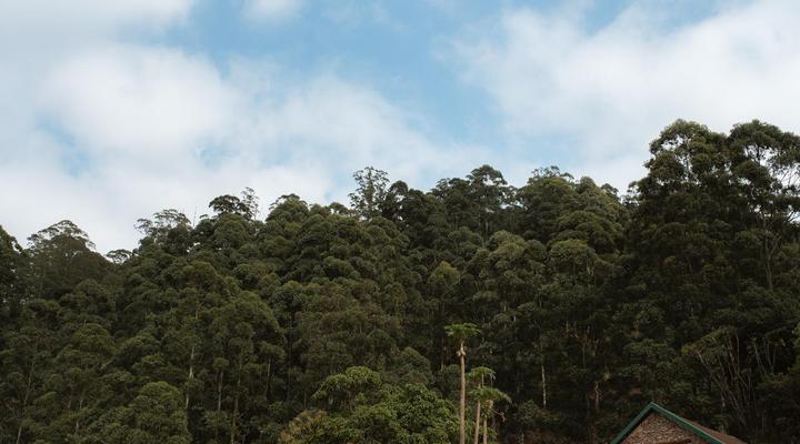 Magoebaskloof Mountain Estates