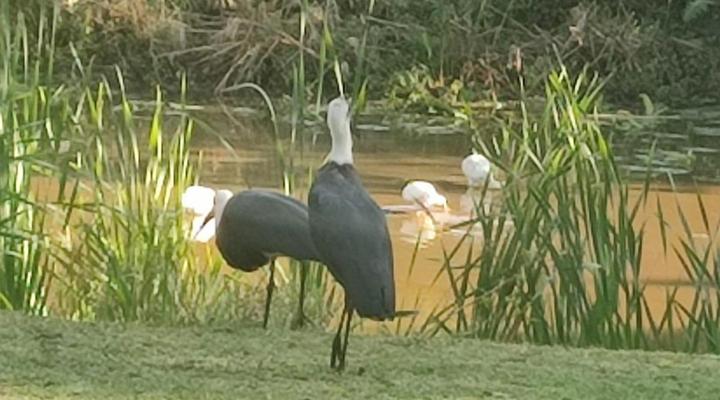 Hillton Manor Self-catering Apartments