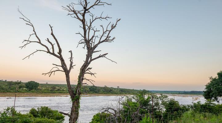 Foxy Crocodile Bush Lodge & Kruger Safaris