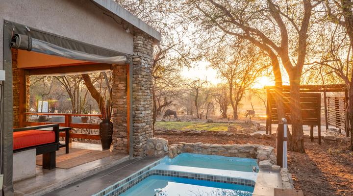 Foxy Crocodile Bush Lodge & Kruger Safaris