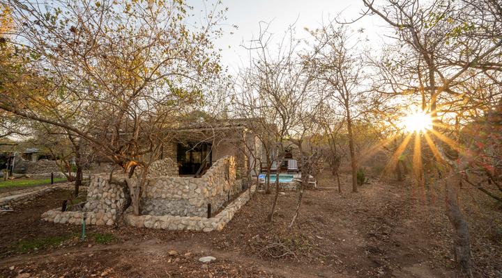 Foxy Crocodile Bush Lodge & Kruger Safaris