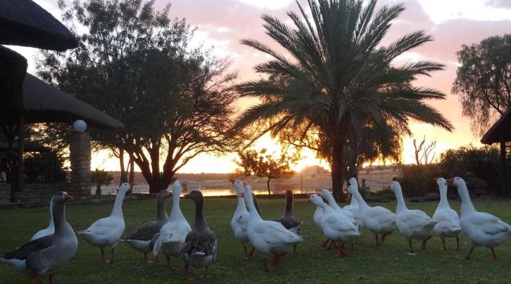 Die Dam - Transkalahari End Resort