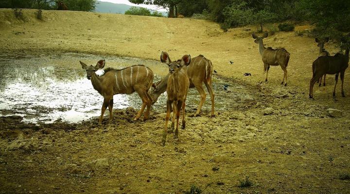 Kromrivier Farm Stays, Accommodation & Camping Venue