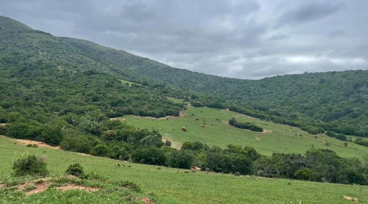 Kromrivier Farm Stays, Accommodation & Camping Venue