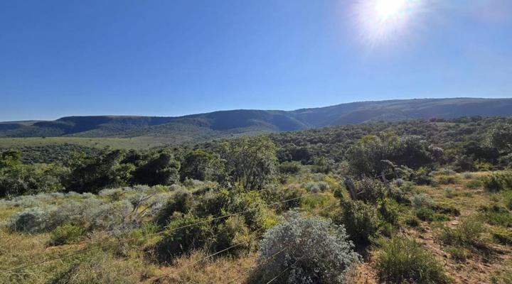 Kromrivier Farm Stays, Accommodation & Camping Venue