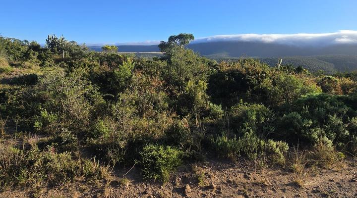 Kromrivier Farm Stays, Accommodation & Camping Venue