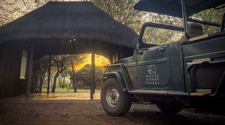 White Elephant Bush Camp