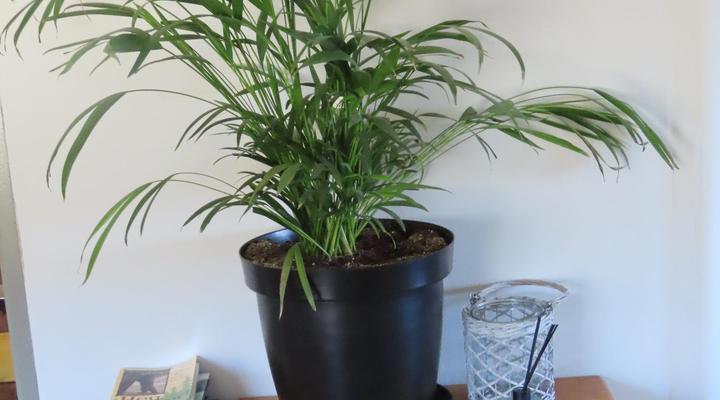 Klipspringer Cottage