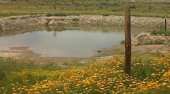 Namastat Lodge and Caravan Park