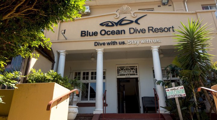 Blue Ocean Dive Resort